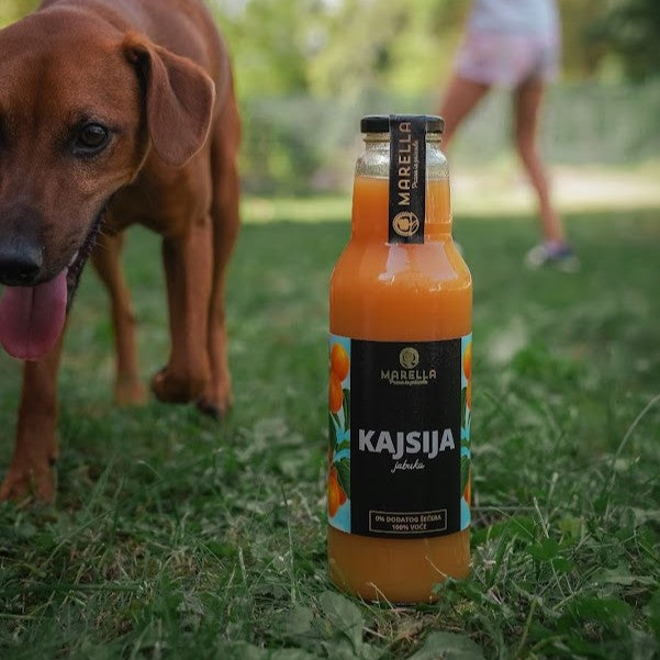 sok kajsija jabuka 100%